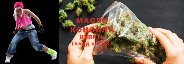 индика Гатчина