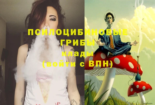 винт Бронницы