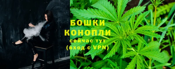винт Бронницы