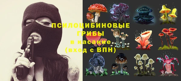 jwh Бородино